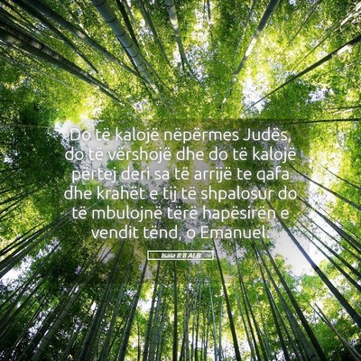 Picture 05 - Isaia 8:8 ALB - Do të kalojë nëpërmes Judës, do të - Bible Verse Picture