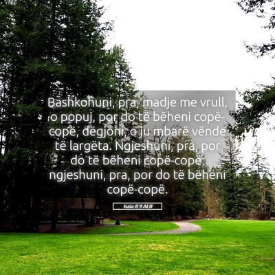 Picture 05 - Isaia 8:9 ALB - Bashkohuni, pra, madje me vrull, o popuj, por do - Bible Verse Picture