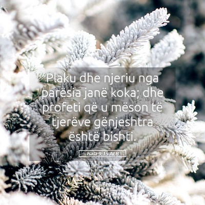 Picture 05 - Isaia 9:15 ALB - Plaku dhe njeriu nga parësia janë koka; dhe - Bible Verse Picture