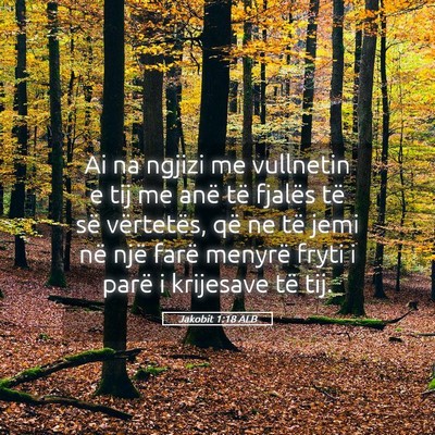 Picture 05 - Jakobit 1:18 ALB - Ai na ngjizi me vullnetin e tij me anë të - Bible Verse Picture