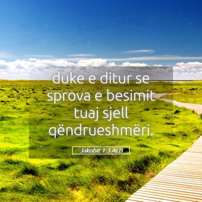 Picture 05 - Jakobit 1:3 ALB - duke e ditur se sprova e besimit tuaj sjell - Bible Verse Picture