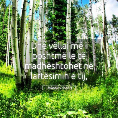Picture 05 - Jakobit 1:9 ALB - Dhe vëllai më i poshtmë le të madhështohet - Bible Verse Picture