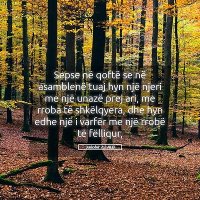 Picture 05 - Jakobit 2:2 ALB - Sepse në qoftë se në asamblenë tuaj hyn një - Bible Verse Picture