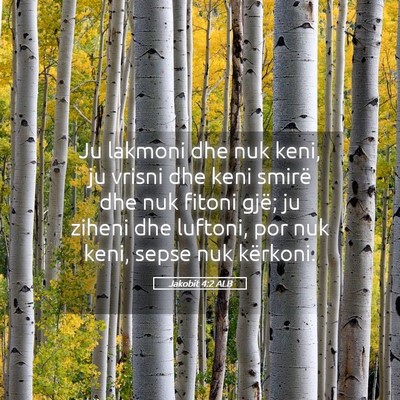 Picture 05 - Jakobit 4:2 ALB - Ju lakmoni dhe nuk keni, ju vrisni dhe keni - Bible Verse Picture