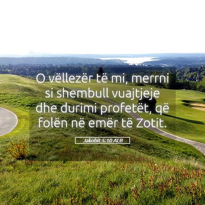 Picture 05 - Jakobit 5:10 ALB - O vëllezër të mi, merrni si shembull vuajtjeje - Bible Verse Picture