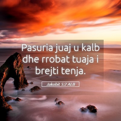 Picture 05 - Jakobit 5:2 ALB - Pasuria juaj u kalb dhe rrobat tuaja i brejti - Bible Verse Picture