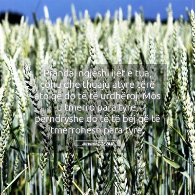 Picture 05 - Jeremia 1:17 ALB - Prandaj ngjeshi ijët e tua, çohu dhe thuaju - Bible Verse Picture