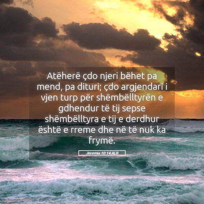 Picture 05 - Jeremia 10:14 ALB - Atëherë çdo njeri bëhet pa mend, pa dituri; - Bible Verse Picture