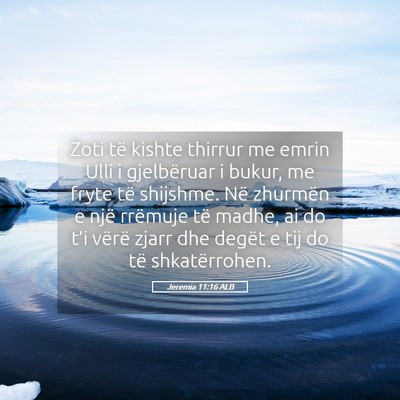 Picture 05 - Jeremia 11:16 ALB - Zoti të kishte thirrur me emrin Ulli i - Bible Verse Picture