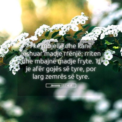 Picture 05 - Jeremia 12:2 ALB - I ke mbjellë dhe kanë lëshuar madje rrënjë; - Bible Verse Picture