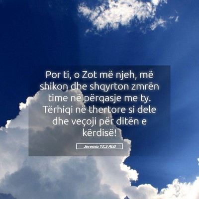 Picture 05 - Jeremia 12:3 ALB - Por ti, o Zot më njeh, më shikon dhe shqyrton - Bible Verse Picture