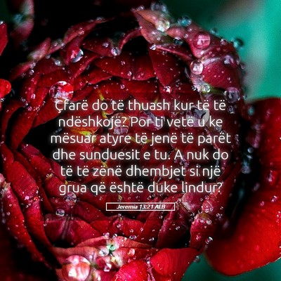 Picture 05 - Jeremia 13:21 ALB - Çfarë do të thuash kur të të ndëshkojë? - Bible Verse Picture