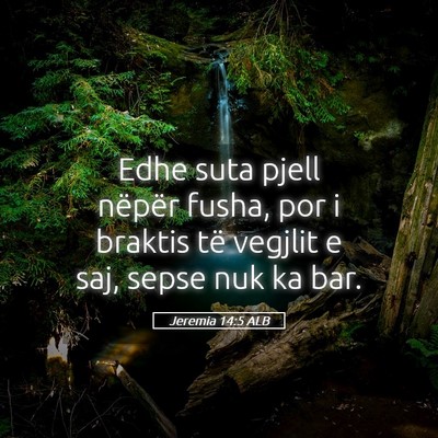 Picture 05 - Jeremia 14:5 ALB - Edhe suta pjell nëpër fusha, por i braktis të - Bible Verse Picture