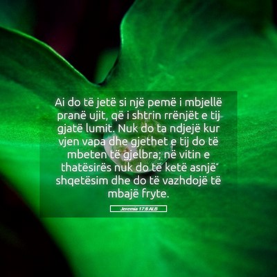 Picture 05 - Jeremia 17:8 ALB - Ai do të jetë si një pemë i mbjellë pranë - Bible Verse Picture