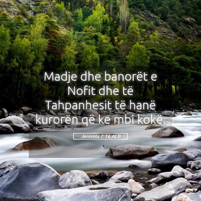 Picture 05 - Jeremia 2:16 ALB - Madje dhe banorët e Nofit dhe të Tahpanhesit - Bible Verse Picture