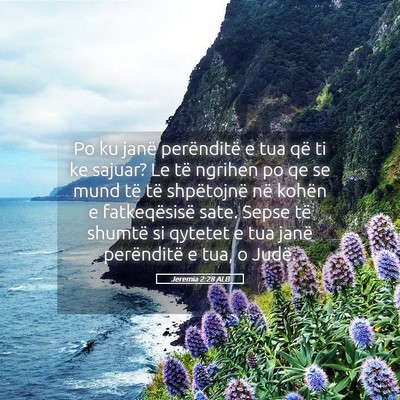 Picture 05 - Jeremia 2:28 ALB - Po ku janë perënditë e tua që ti ke sajuar? - Bible Verse Picture