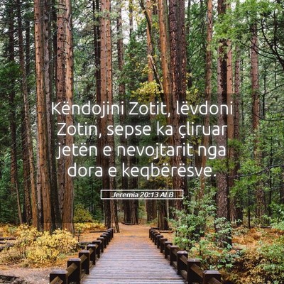 Picture 05 - Jeremia 20:13 ALB - Këndojini Zotit, lëvdoni Zotin, sepse ka - Bible Verse Picture