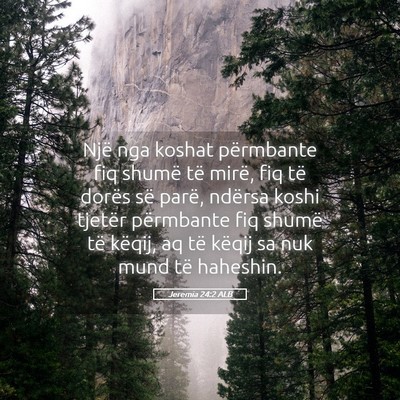 Picture 05 - Jeremia 24:2 ALB - Një nga koshat përmbante fiq shumë të mirë, - Bible Verse Picture