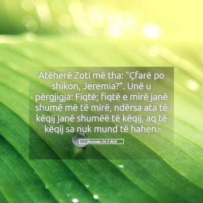 Picture 05 - Jeremia 24:3 ALB - Atëherë Zoti më tha: 