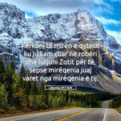 Picture 05 - Jeremia 29:7 ALB - Kërkoni të mirën e qytetit ku ju kam çuar në - Bible Verse Picture