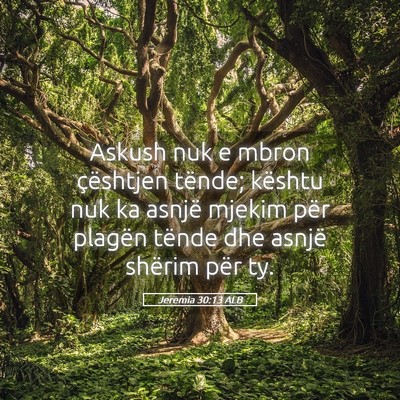 Picture 05 - Jeremia 30:13 ALB - Askush nuk e mbron çështjen tënde; kështu nuk - Bible Verse Picture