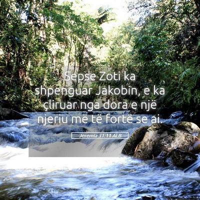 Picture 05 - Jeremia 31:11 ALB - Sepse Zoti ka shpenguar Jakobin, e ka çliruar - Bible Verse Picture
