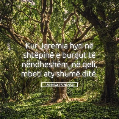 Picture 05 - Jeremia 37:16 ALB - Kur Jeremia hyri në shtëpinë e burgut të - Bible Verse Picture