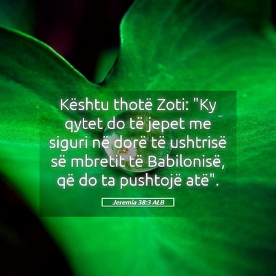 Picture 05 - Jeremia 38:3 ALB - Kështu thotë Zoti: 
