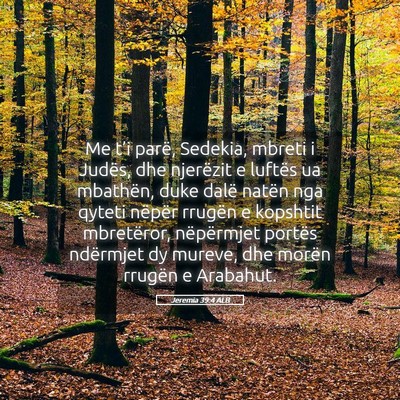 Picture 05 - Jeremia 39:4 ALB - Me t’i parë, Sedekia, mbreti i Judës, dhe - Bible Verse Picture