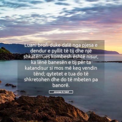 Picture 05 - Jeremia 4:7 ALB - Luani brofi duke dalë nga pjesa e dendur e - Bible Verse Picture