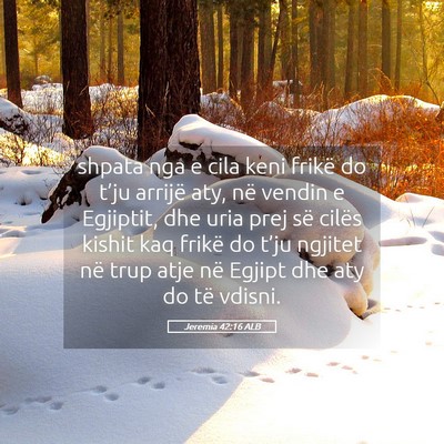 Picture 05 - Jeremia 42:16 ALB - shpata nga e cila keni frikë do t’ju arrijë - Bible Verse Picture