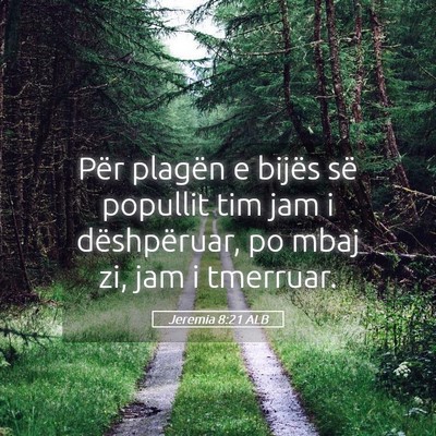 Picture 05 - Jeremia 8:21 ALB - Për plagën e bijës së popullit tim jam i - Bible Verse Picture