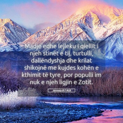 Picture 05 - Jeremia 8:7 ALB - Madje edhe lejleku i qiellit i njeh stinët e - Bible Verse Picture