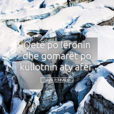 Picture 05 - Jobi 1:14 ALB - Qetë po lëronin dhe gomarët po kullotnin aty - Bible Verse Picture