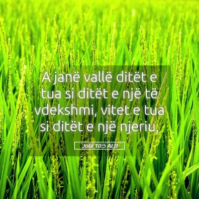 Picture 05 - Jobi 10:5 ALB - A janë vallë ditët e tua si ditët e një të - Bible Verse Picture
