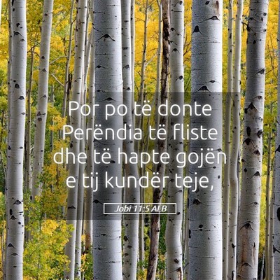 Picture 05 - Jobi 11:5 ALB - Por po të donte Perëndia të fliste dhe të - Bible Verse Picture