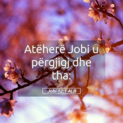 Picture 05 - Jobi 12:1 ALB - Atëherë Jobi u përgjigj dhe - Bible Verse Picture