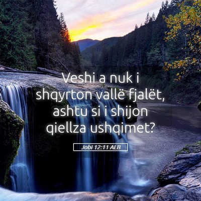 Picture 05 - Jobi 12:11 ALB - Veshi a nuk i shqyrton vallë fjalët, ashtu si i - Bible Verse Picture