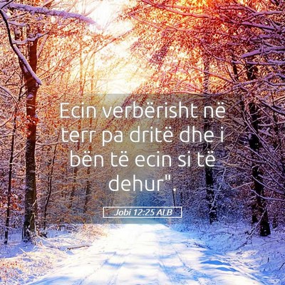 Picture 05 - Jobi 12:25 ALB - Ecin verbërisht në terr pa dritë dhe i bën - Bible Verse Picture