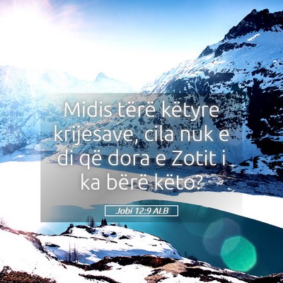 Picture 05 - Jobi 12:9 ALB - Midis tërë këtyre krijesave, cila nuk e di që - Bible Verse Picture