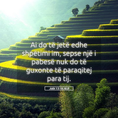 Picture 05 - Jobi 13:16 ALB - Ai do të jetë edhe shpëtimi im, sepse një i - Bible Verse Picture