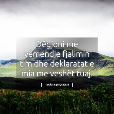 Picture 05 - Jobi 13:17 ALB - Dëgjoni me vëmendje fjalimin tim dhe deklaratat - Bible Verse Picture
