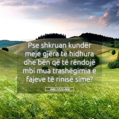 Picture 05 - Jobi 13:26 ALB - Pse shkruan kundër meje gjëra të hidhura dhe - Bible Verse Picture