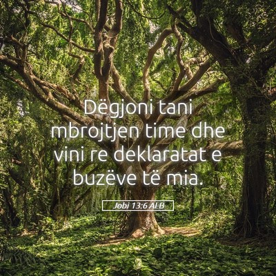 Picture 05 - Jobi 13:6 ALB - Dëgjoni tani mbrojtjen time dhe vini re - Bible Verse Picture
