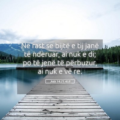 Picture 05 - Jobi 14:21 ALB - Në rast se bijtë e tij janë të nderuar, ai - Bible Verse Picture