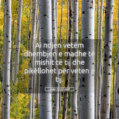 Picture 05 - Jobi 14:22 ALB - Ai ndjen vetëm dhembjen e madhe të mishit të - Bible Verse Picture