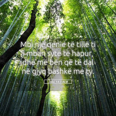 Picture 05 - Jobi 14:3 ALB - Mbi një qenie të tillë ti i mban sytë të - Bible Verse Picture