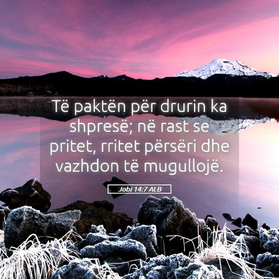Picture 05 - Jobi 14:7 ALB - Të paktën për drurin ka shpresë; në rast se - Bible Verse Picture