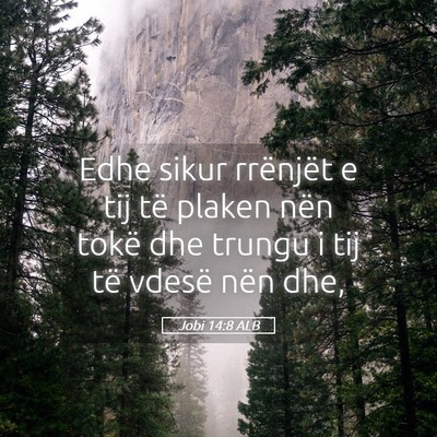 Picture 05 - Jobi 14:8 ALB - Edhe sikur rrënjët e tij të plaken nën tokë - Bible Verse Picture