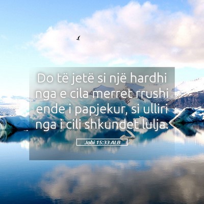 Picture 05 - Jobi 15:33 ALB - Do të jetë si një hardhi nga e cila merret - Bible Verse Picture